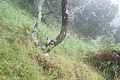 Bernhard Saalfeld - DSC05644.JPG