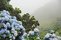 Bernhard Saalfeld - DSC05659.JPG