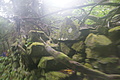 Bernhard Saalfeld - DSC05661.JPG