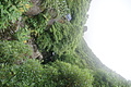 Bernhard Saalfeld - DSC05664.JPG