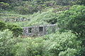Bernhard Saalfeld - DSC05665.JPG
