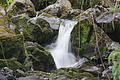 Bernhard Saalfeld - DSC05679.JPG