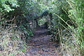 Bernhard Saalfeld - DSC05694.JPG