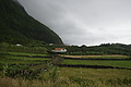 Bernhard Saalfeld - DSC05702.JPG