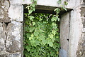 Bernhard Saalfeld - DSC05728.JPG