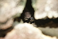 Bernhard Saalfeld - DSC05851.JPG