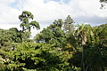 Bernhard Saalfeld - DSC05852.JPG