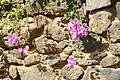 Bernhard Saalfeld - DSC05853.JPG