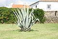 Bernhard Saalfeld - DSC05854.JPG