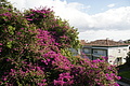 Bernhard Saalfeld - DSC05859.JPG