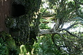 Bernhard Saalfeld - DSC05869.JPG