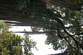 Bernhard Saalfeld - DSC05873.JPG