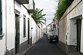 Bernhard Saalfeld - DSC05878.JPG