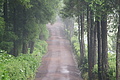 Bernhard Saalfeld - DSC05884.JPG
