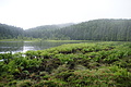 Bernhard Saalfeld - DSC05890.JPG