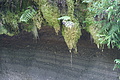 Bernhard Saalfeld - DSC05893.JPG