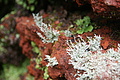 Bernhard Saalfeld - DSC05905.JPG
