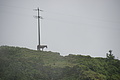 Bernhard Saalfeld - DSC05923.JPG