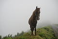 Bernhard Saalfeld - DSC05932.JPG