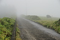 Bernhard Saalfeld - DSC05933.JPG