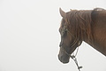 Bernhard Saalfeld - DSC05945.JPG