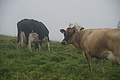 Bernhard Saalfeld - DSC05949.JPG