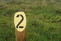 Bernhard Saalfeld - DSC05953.JPG
