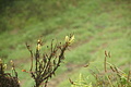 Bernhard Saalfeld - DSC05959.JPG