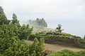 Bernhard Saalfeld - DSC05965.JPG
