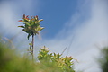 Bernhard Saalfeld - DSC05976.JPG