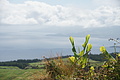 Bernhard Saalfeld - DSC05985.JPG