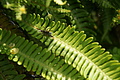 Bernhard Saalfeld - DSC05986.JPG