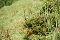 Bernhard Saalfeld - DSC05990.JPG