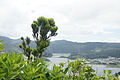 Bernhard Saalfeld - DSC06011.JPG