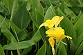 Bernhard Saalfeld - DSC06014.JPG