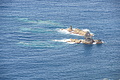 Bernhard Saalfeld - DSC06047.JPG