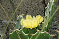 Bernhard Saalfeld - DSC06053.JPG
