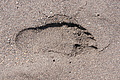 Bernhard Saalfeld - DSC06060.JPG