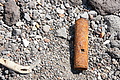 Bernhard Saalfeld - DSC06075.JPG