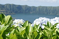 Bernhard Saalfeld - DSC06097.JPG