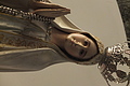 Bernhard Saalfeld - DSCF0327.JPG