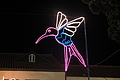 Bernhard Saalfeld - DSCF0330.JPG