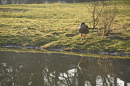 Bernhard Saalfeld - DSC03840.JPG