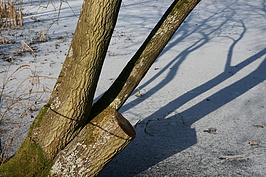 Bernhard Saalfeld - DSC01881.JPG