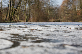 Bernhard Saalfeld - DSC01888.JPG