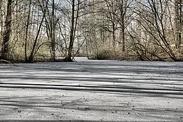Bernhard Saalfeld - DSC01906_7_8_Localtone.jpg