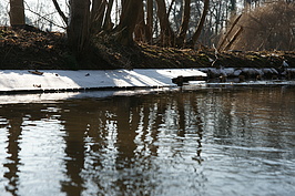 Bernhard Saalfeld - DSC01949.JPG