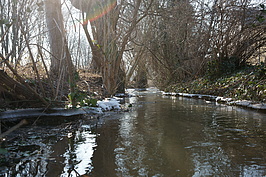 Bernhard Saalfeld - DSC01977.JPG