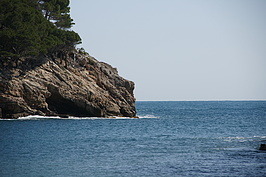 DSC02099_t.JPG