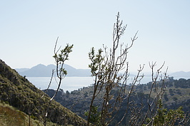 DSC02168_t.JPG